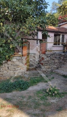 Casa Tsentar, Plovdiv 1