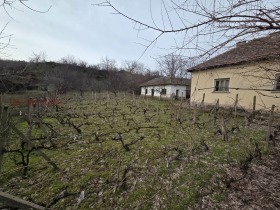 ������ ������� ����