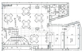 ����� ������� ���������,���� �����, �������