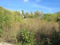 Продава  Парцел град Варна , м-т Салтанат , 805 кв.м | 26784476 - изображение [2]