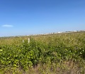 Продава ЗЕМЕДЕЛСКА ЗЕМЯ, гр. Куклен, област Пловдив, снимка 2
