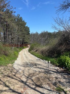 ������� ���� | Imot.bg � ����� ������ 8