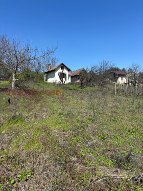 ������ ������� ����