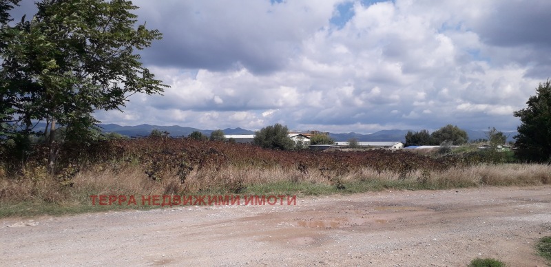 Продава ПАРЦЕЛ в град София, с. Негован - 6423 кв.м / 256 920 € » 502 491.84 лв., ТЕРРА НЕДВИЖИМИ ИМОТИ