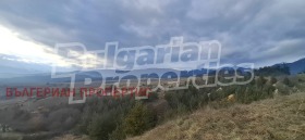 ����� ������� ���������� ����,�. ������, ������ �����������