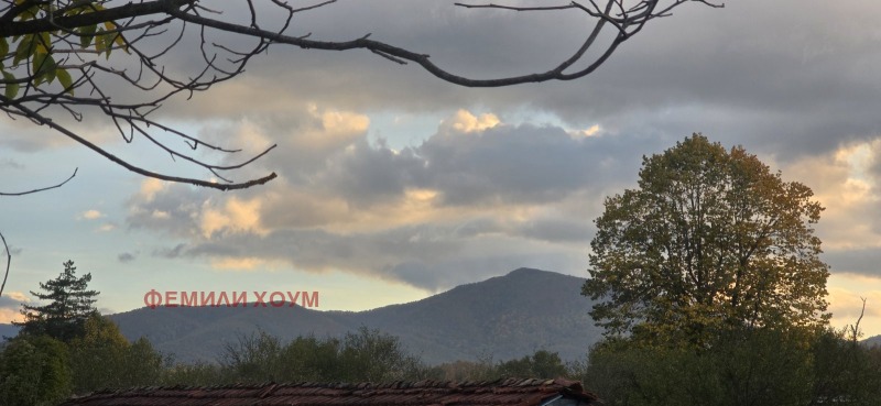 Продава ВИЛА, гр. Елена, област Велико Търново, снимка 7 - Вили - 52702618