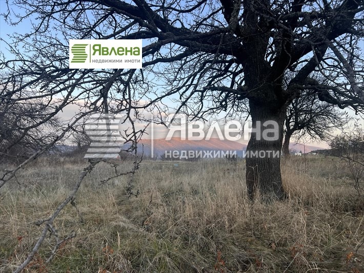 Eladó  Cselekmény Sofia , Pancsarevo , 809 négyzetméter | 24815062