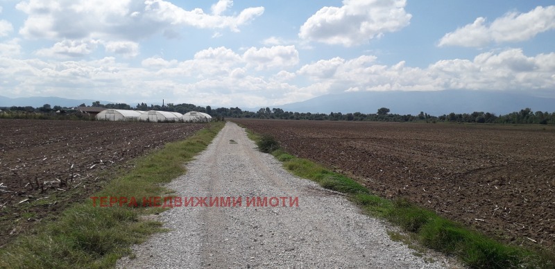 Продава ПАРЦЕЛ, гр. София, с. Негован, снимка 4 - Парцели - 53524959