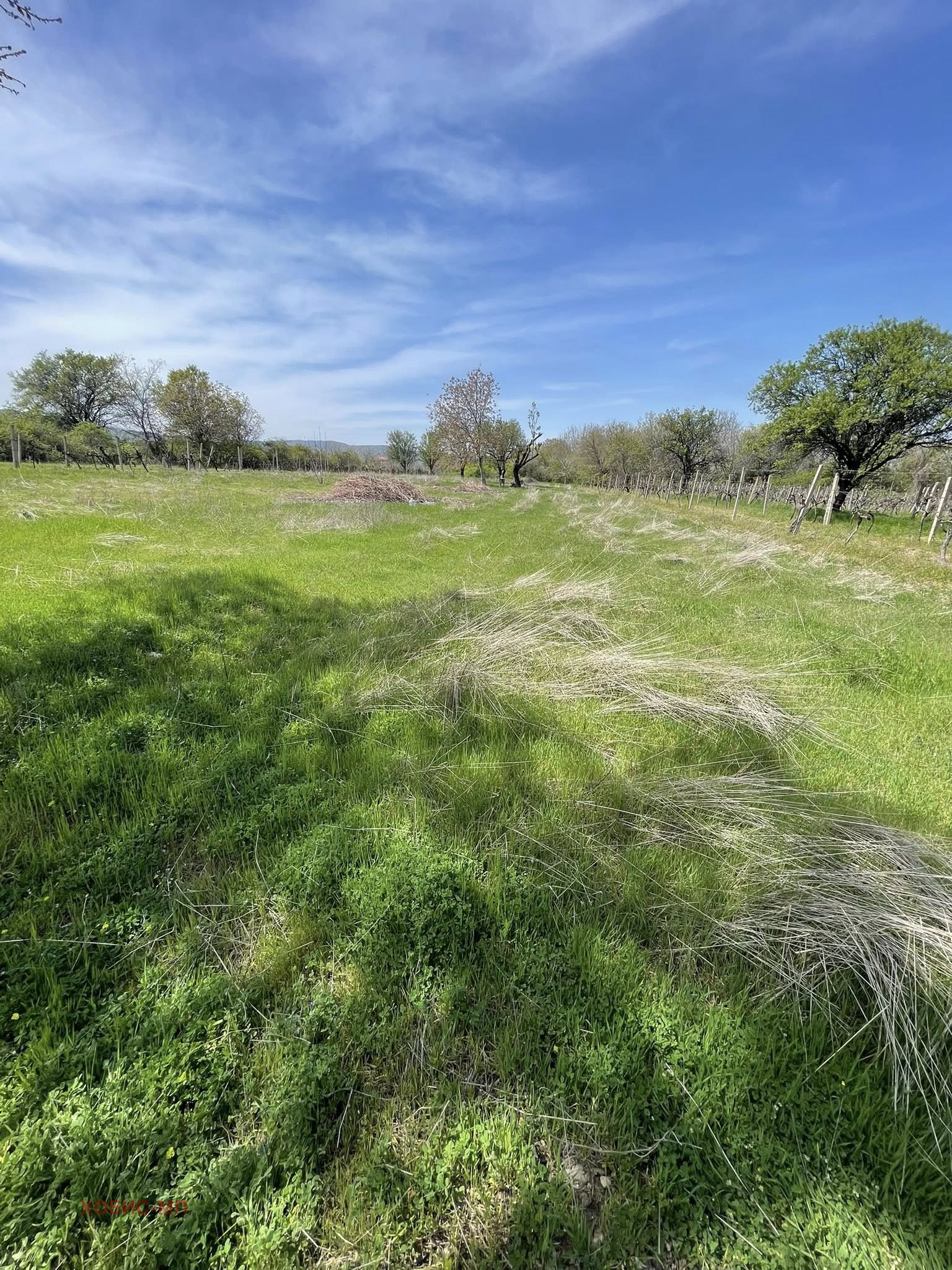 Продава ПАРЦЕЛ, с. Марково, област Пловдив, снимка 2 - Парцели - 54279199