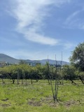 Продава  Парцел област Пловдив , с. Марково , 3610 кв.м | 49495048