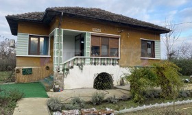 ������ ������� ����