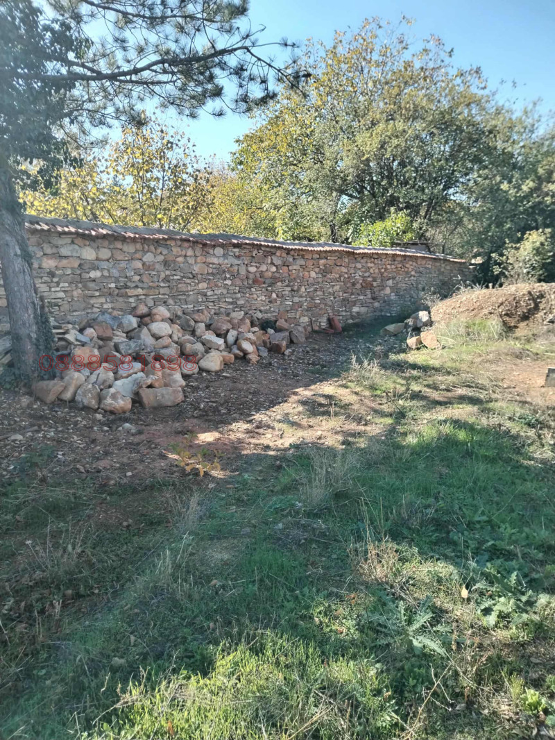 Продава ПАРЦЕЛ, област София, с. Негушево • 95000 € / 185803.85 лв. • 23686254 1