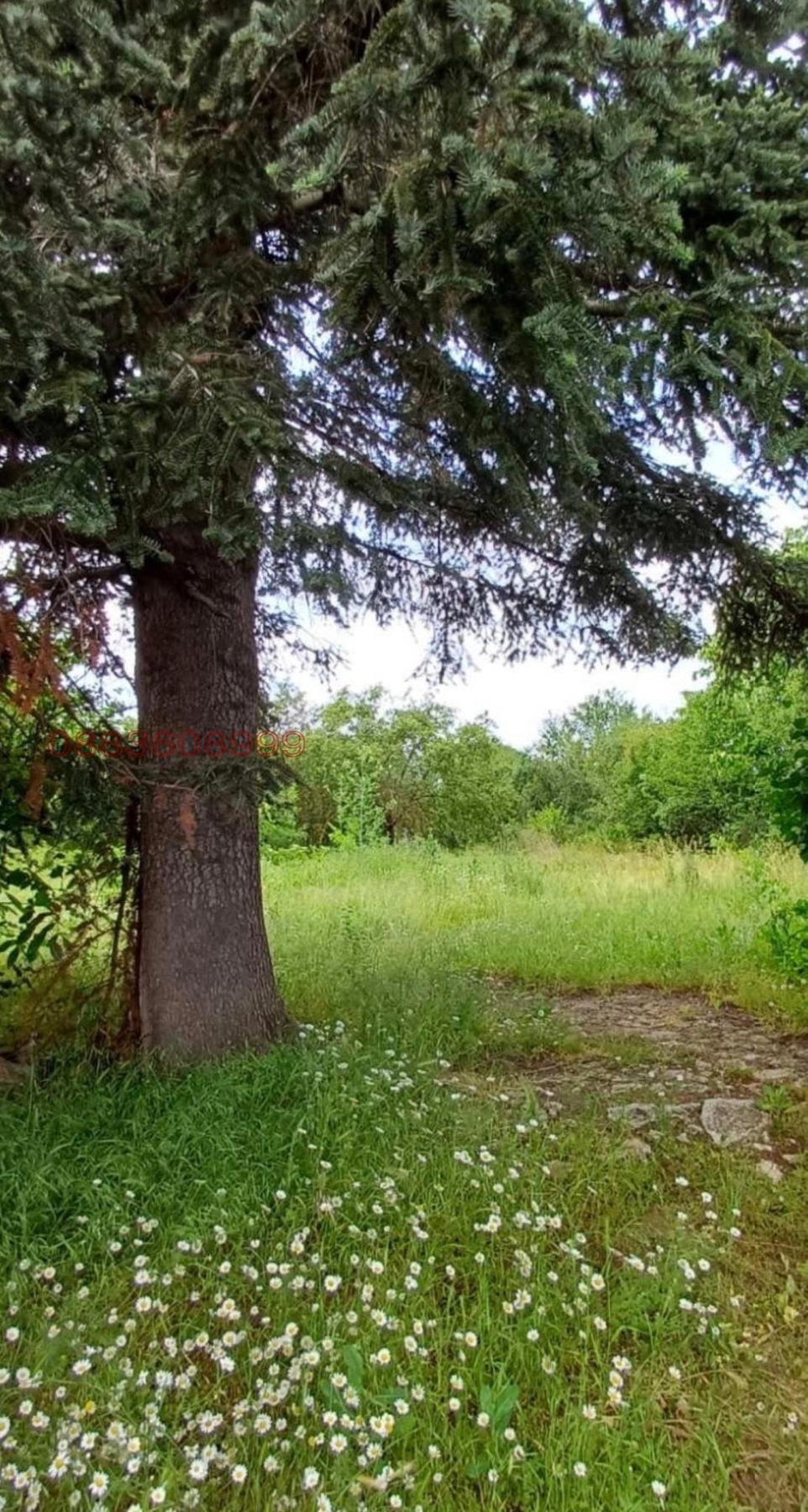 Продава ПАРЦЕЛ, с. Драгичево, област Перник