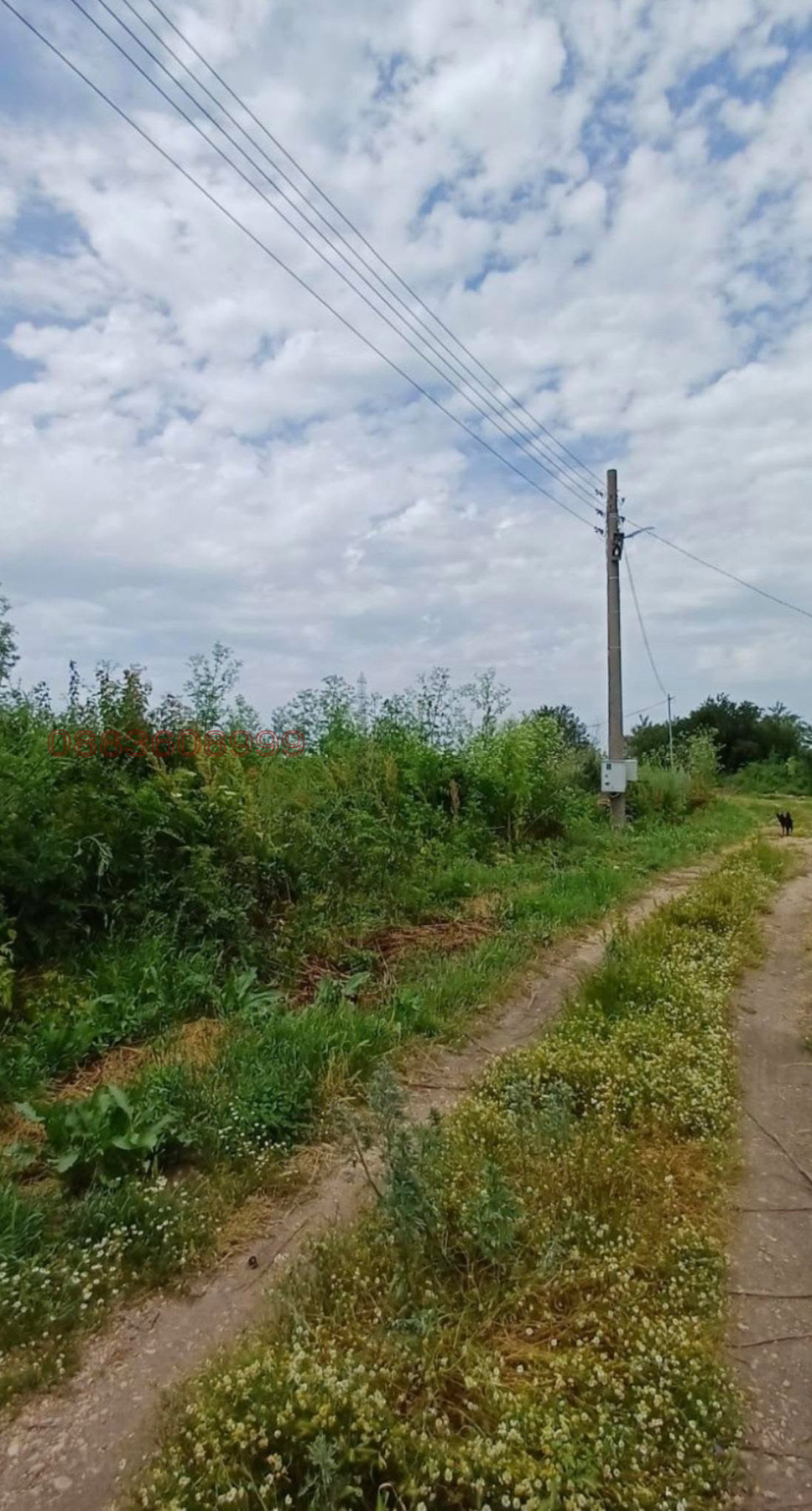 Продава ПАРЦЕЛ, с. Драгичево, област Перник, снимка 2 - Парцели - 55288959