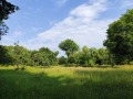 Продава ПАРЦЕЛ, гр. Априлци, област Ловеч, снимка 1