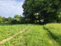 Продава ПАРЦЕЛ, гр. Априлци, област Ловеч, снимка 6