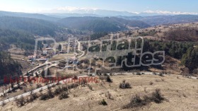 ����� ������� ���������� ����,�. ��������, ������ �����