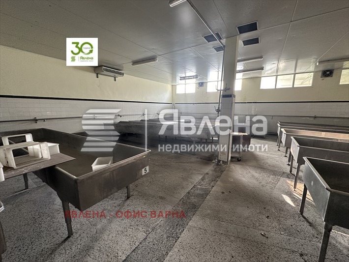 Продава  Пром. помещение град Добрич , Рилци , 1976 кв.м | 79185727 - изображение [6]