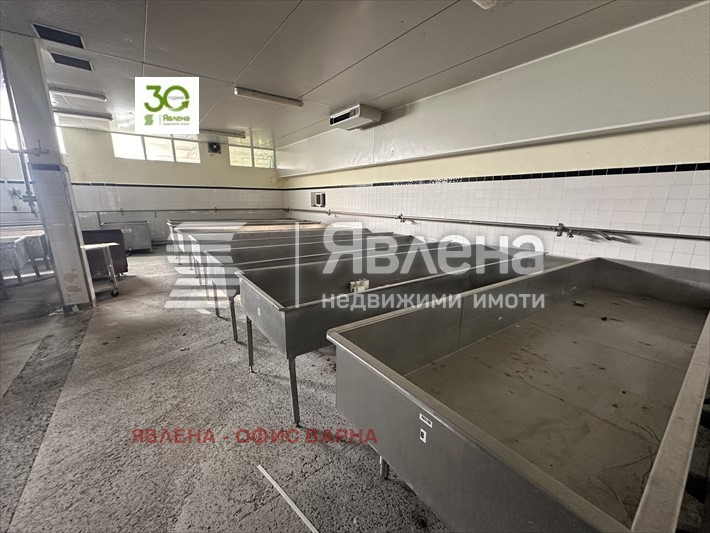 Продава  Пром. помещение град Добрич , Рилци , 1976 кв.м | 79185727 - изображение [7]