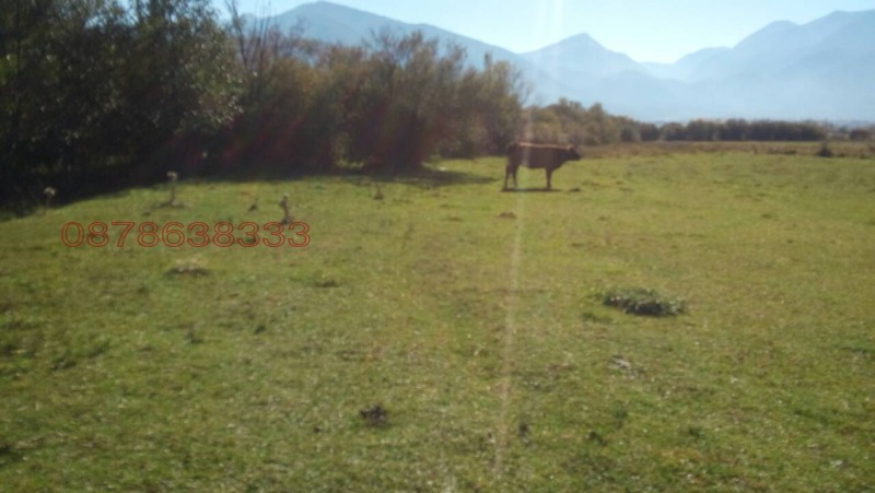 Продава ПАРЦЕЛ, с. Баня, област Благоевград, снимка 7 - Парцели - 52896662