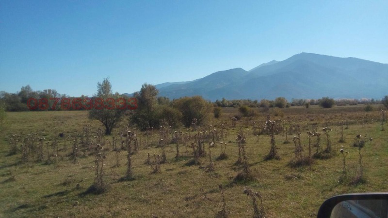 Продава ПАРЦЕЛ, с. Баня, област Благоевград, снимка 8 - Парцели - 52896662