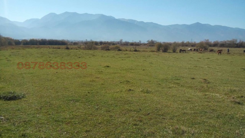 Продава ПАРЦЕЛ, с. Баня, област Благоевград, снимка 2 - Парцели - 52896662