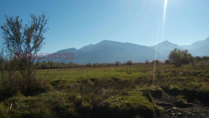 Продава ПАРЦЕЛ, с. Баня, област Благоевград, снимка 9 - Парцели - 52896662