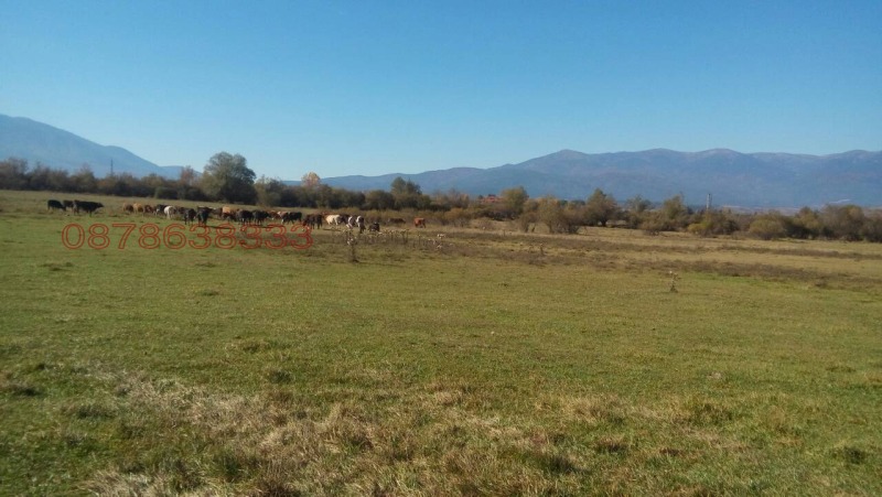 Продава ПАРЦЕЛ, с. Баня, област Благоевград, снимка 3 - Парцели - 52896662