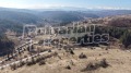 Продава  Земеделска земя област София , с. Шипочане , 1.222 дка | 88564750