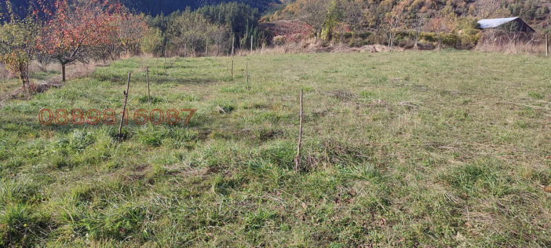 Продава ПАРЦЕЛ, с. Беден, област Смолян, снимка 4 - Парцели - 52780882