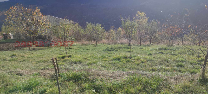 Продава ПАРЦЕЛ, с. Беден, област Смолян, снимка 8 - Парцели - 52780882