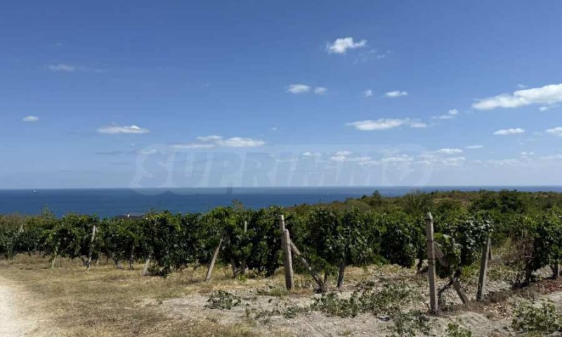 Продава  Парцел област Варна , гр. Бяла , 500 кв.м | 54846812 - изображение [12]