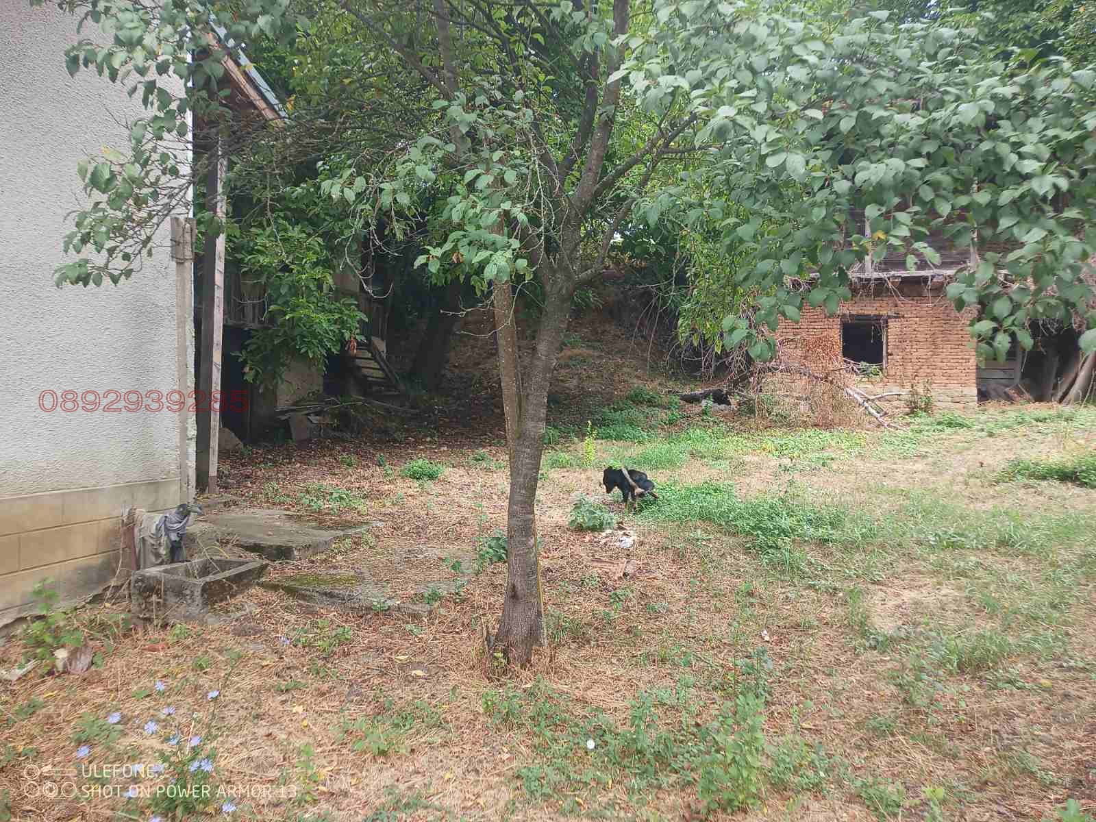 Продава КЪЩА, с. Радювене, област Ловеч, снимка 8 - Къщи - 54899503