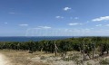 Продава ПАРЦЕЛ, област Варна, гр. Бяла • 30000 € • 11437814 — Holmes.bg