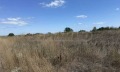 Продава ПАРЦЕЛ, област Варна, гр. Бяла • 30000 € • 11437814 — Holmes.bg