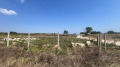 Продава  Парцел град Варна , м-т Прибой , 863 кв.м | 74972241 - изображение [3]