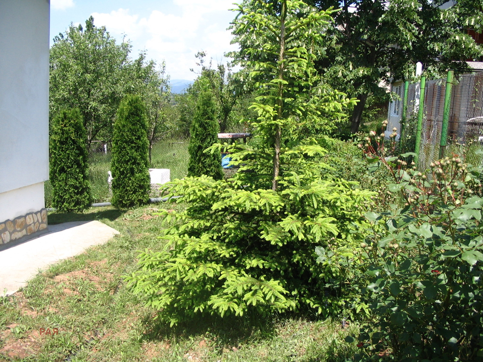 ������� ���� | Imot.bg � ����������� 3