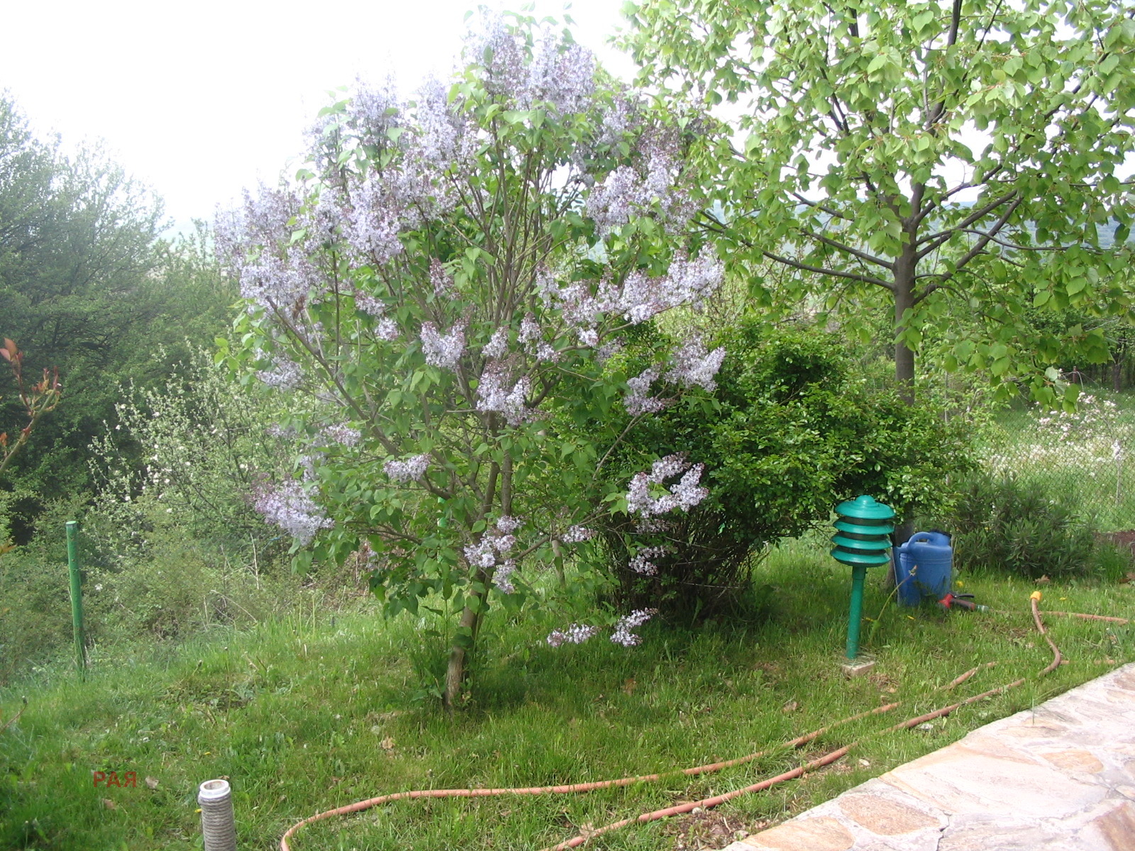 ������� ���� | Imot.bg � ����������� 10