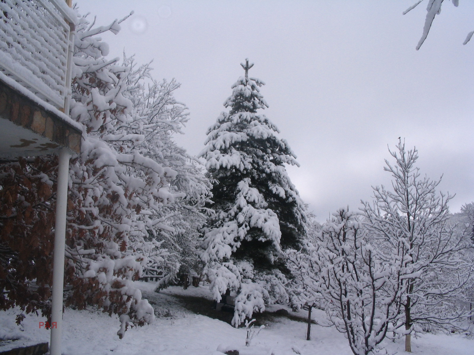 ������� ���� | Imot.bg � ����������� 14