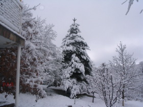 ������� ���� | Imot.bg � ����� ������ 14