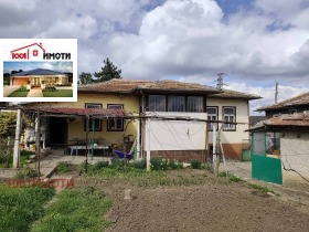 ������ ������� ����