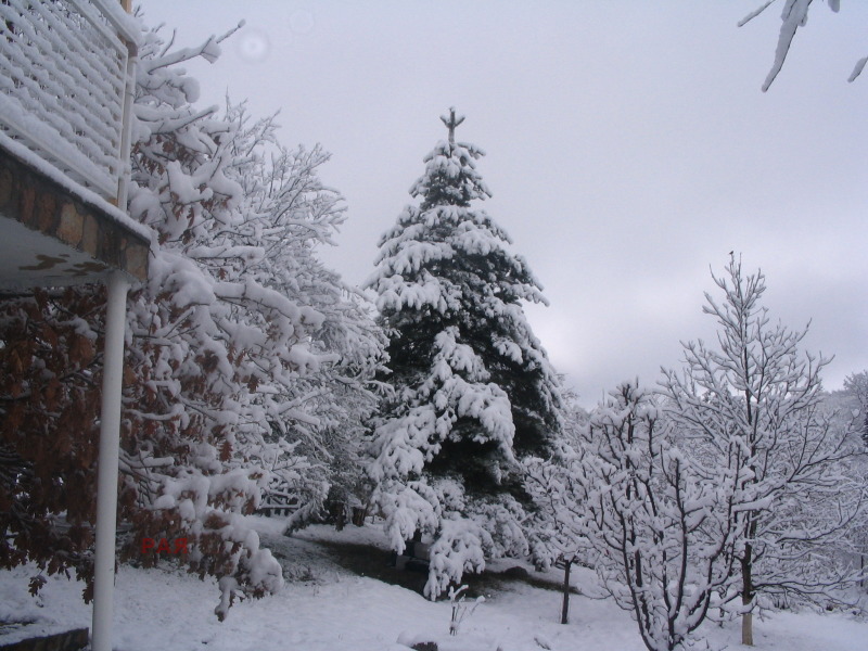 Продава КЪЩА, с. Дреново, област София област, снимка 13 - Къщи - 53499385