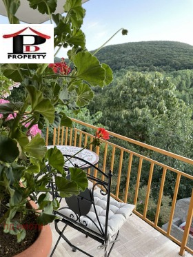 ����� ������� ����,�. ����, ������ ������