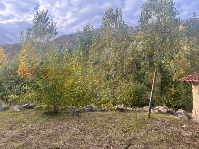 Продава КЪЩА, с. Червен, област Русе, снимка 17 - Къщи - 52780577