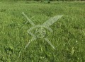Продава ПАРЦЕЛ, област Пловдив, с. Ново село • 69000 € • 63049103 — Holmes.bg