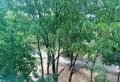 Продава 3-СТАЕН, град София, Люлин 6 • 147000 € • 27865827 — Holmes.bg
