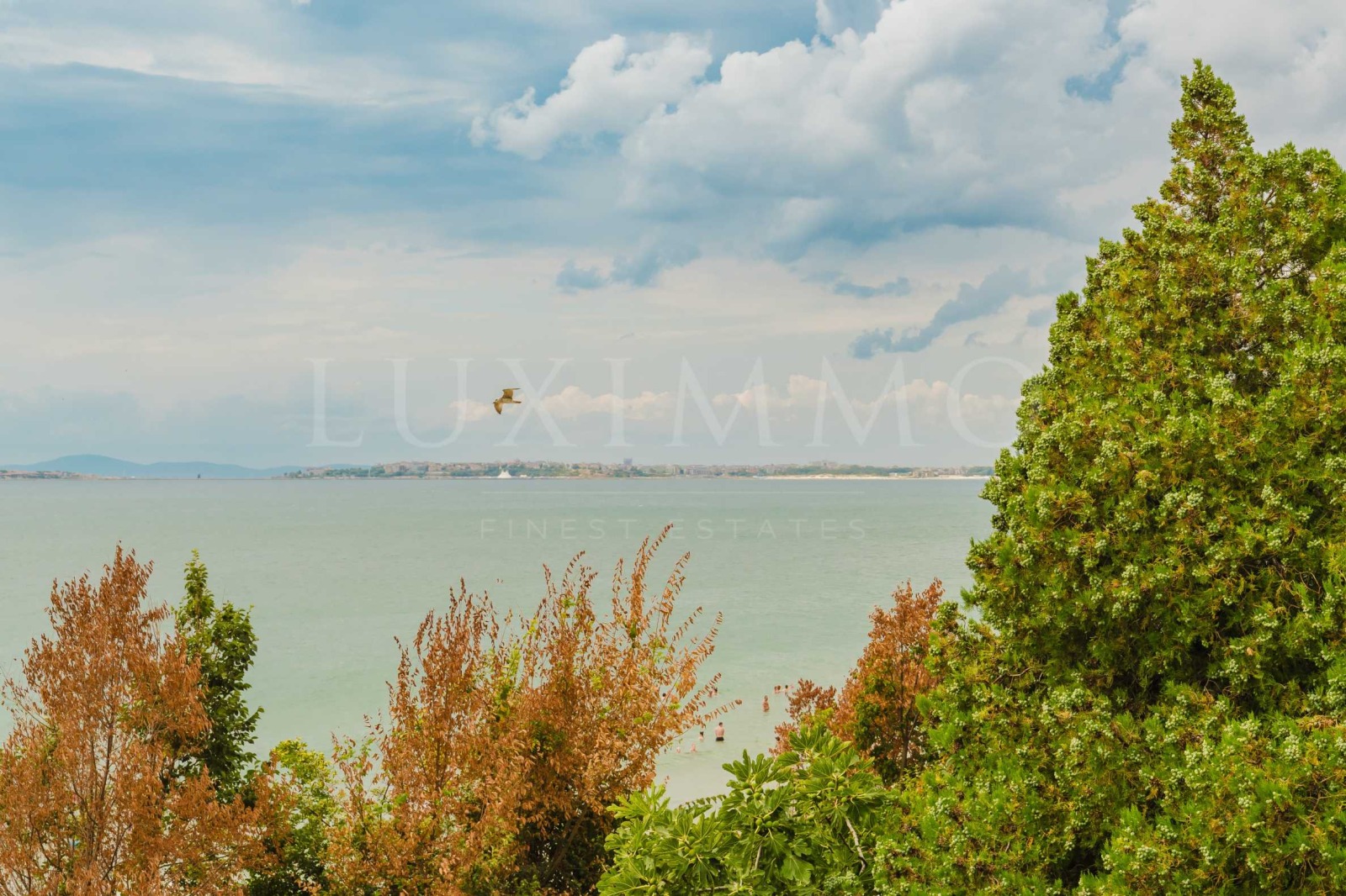 ������� ���� | Imot.bg � ����������� 11