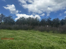 Spiknutí Chrišteni, oblast Stará Zagora 3