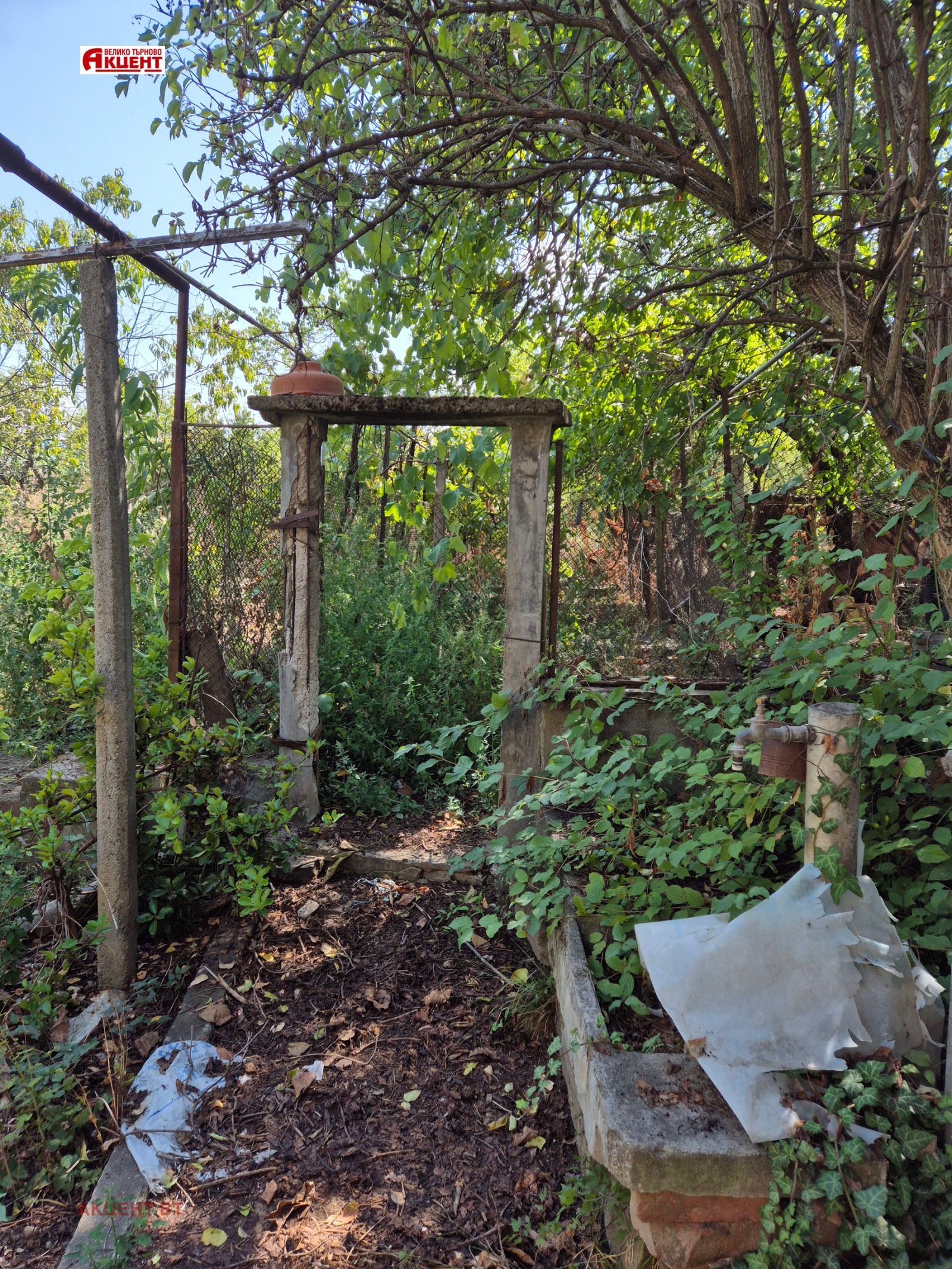 Продава КЪЩА, с. Церова кория, област Велико Търново, снимка 2 - Къщи - 51654825