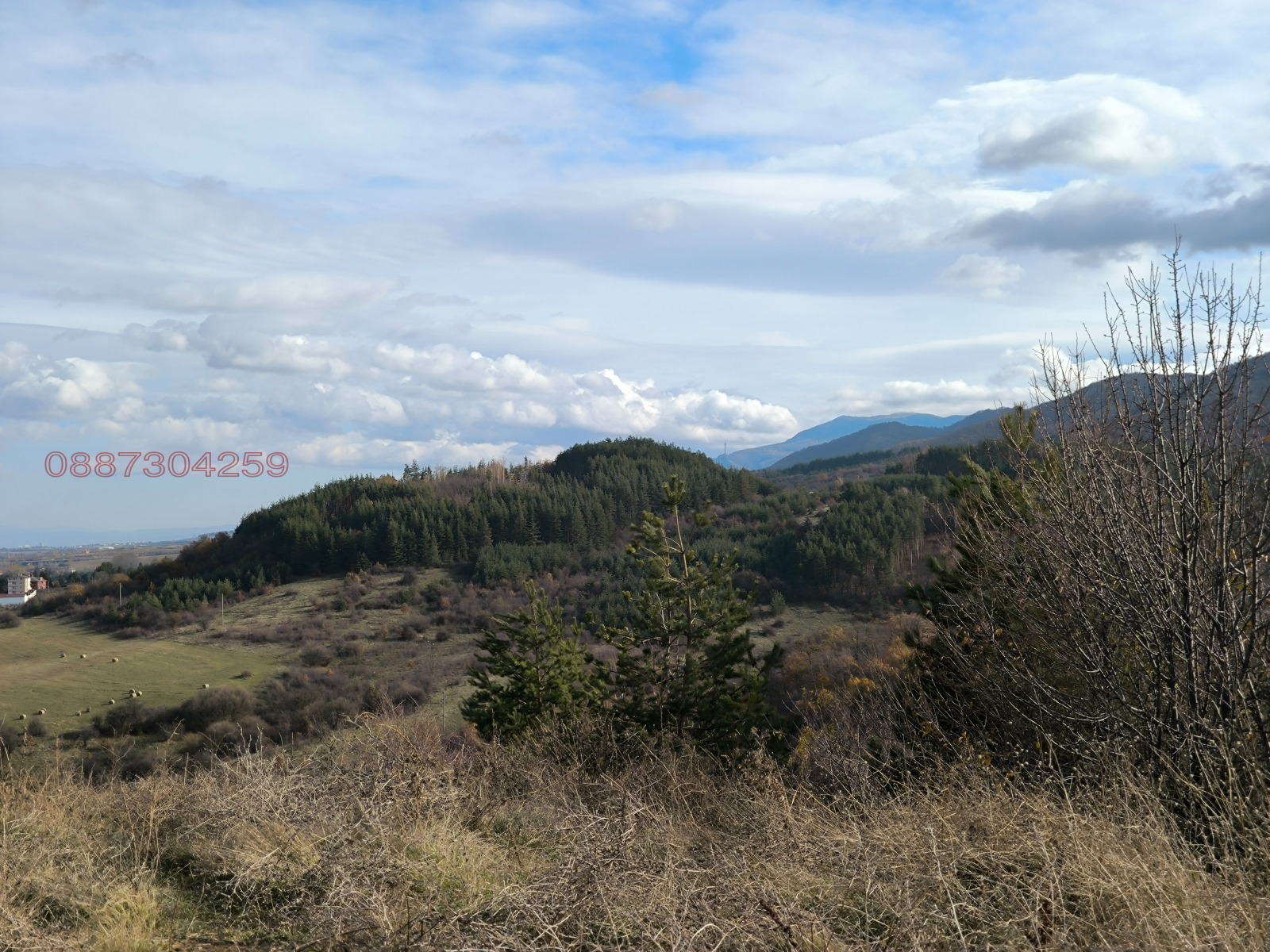 ������� ������ | Imot.bg � ����������� 4